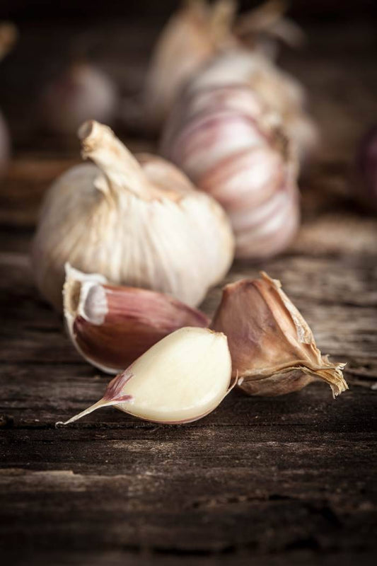 The Not So Humble Garlic