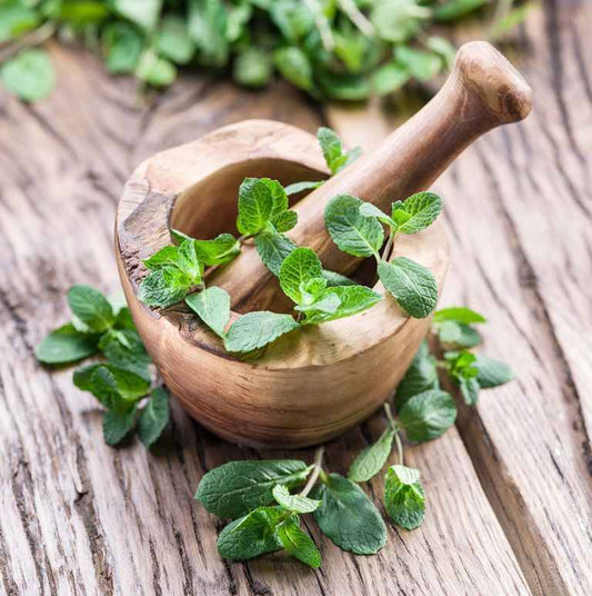 Fresh Mint Sauce