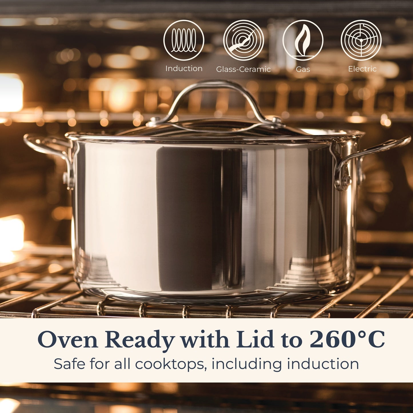 Anolon EverLast Tri-Ply Clad Stainless Steel Induction Covered Stockpot 26cm/7.6L