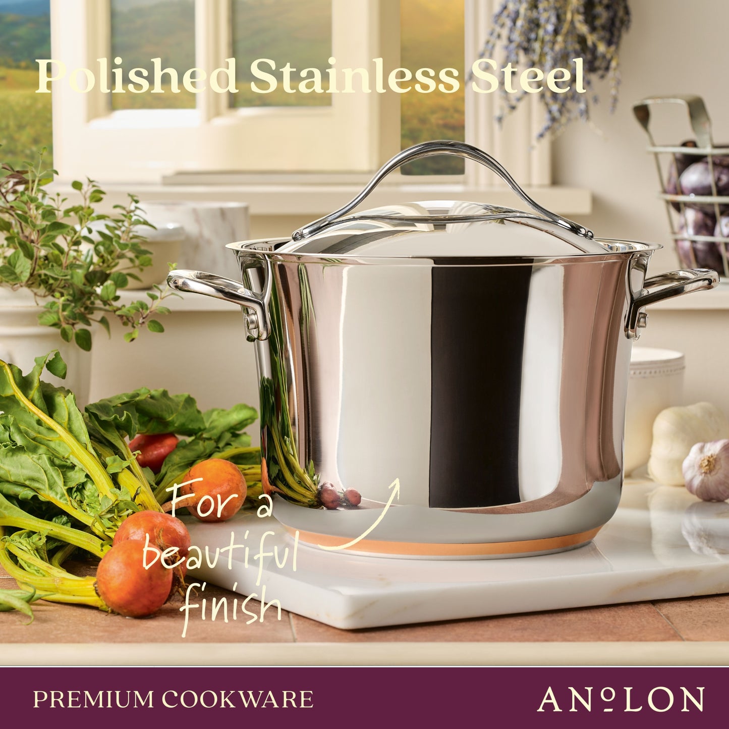 Anolon Nouvelle Copper Stainless Steel Induction Covered Stockpot 24cm/6.2L