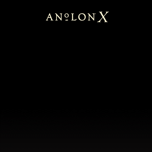 Anolon X Hybrid Nonstick Induction 10 Piece Cookware Set